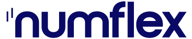 numflex logo